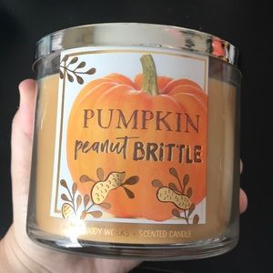 Bath & Body Works 3 Wick Candle